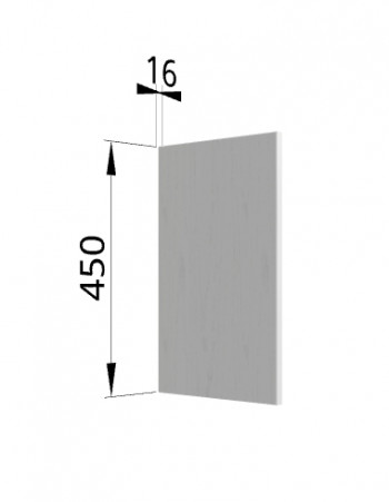 Панель торцевая (для шкафа горизонтального высокого) ВПГ Ройс (Графит софт) в Новолуговом - novolugovoe.mebel54.com | фото