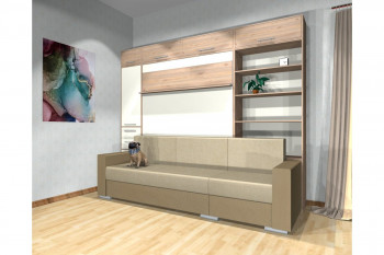Шкаф-кровать с диваном Каролина в Новолуговом - novolugovoe.mebel54.com | фото